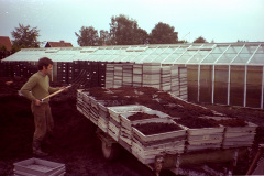 Fyller lådor med torv